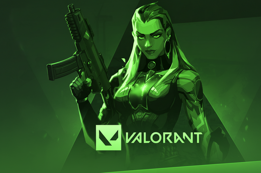 Valorant SoftWare